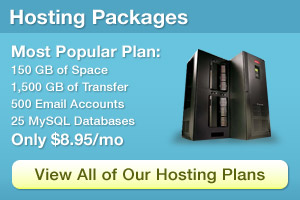 Website Hosting